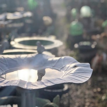 Bird Feeders and Bird Boxes Bird Feeders and Bird Boxes