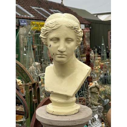 Painted Cast Iron Bust Of Venus Statue