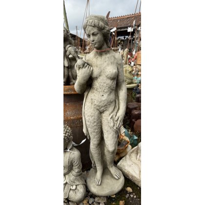 The Girl and The Dove The Girl and The Dove