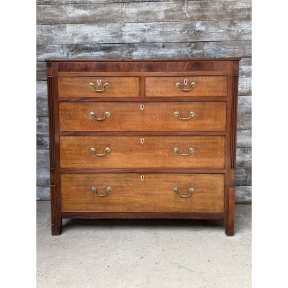 Antique English Regency Oak & Mahogany Chest Of Drawers Antique English Regency Oak & Mahogany Chest Of Drawers