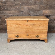 Fantastic Antique 19th Century Waxed Pine Mule Chest