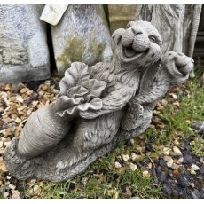 Bunnies and Carrots Bunnies and Carrots