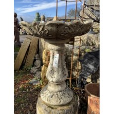 Acanthus Bird Bath Acanthus Bird Bath