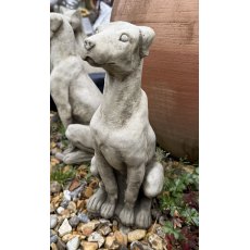 Sitting Dog Sitting Dog