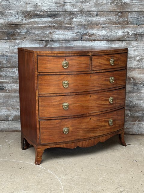 Fabulous Large Edwardian Bow Fronted Mahogany Chest of Drawers