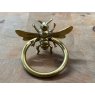 Brass Bee Ring Pull Handle