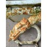 Antique 19th Century Dragon Ended Garden Bench