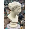 Painted Cast Iron Bust Of Venus Statue