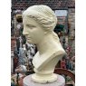 Painted Cast Iron Bust Of Venus Statue