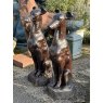 Fabulous Pair Of Cast Iron Greyhound Statues