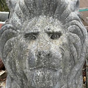 Imposing pair of hand carved stone Lions, well weathered. Available online & in store. 2m in length....